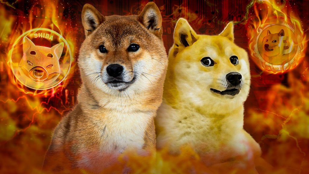 Dieser Coin ist der Grund, warum Dogecoin und Shiba Inu nicht überleben werden